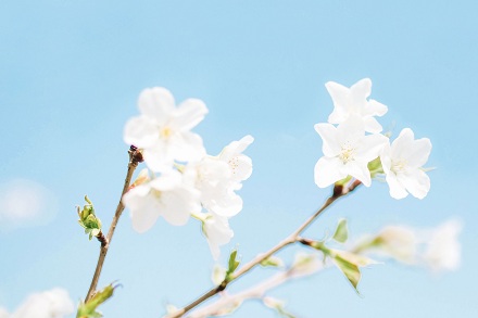 屬龍的人2019年年底前能升職加薪嗎?事業(yè)運(yùn)好不好?(圖文)