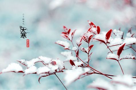 2020年大寒出生的男孩起名 大氣有涵養名字(圖文)