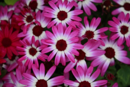 2020年臘月二十八是幾月幾號,2019臘月廿八祈福好不好?(圖文)