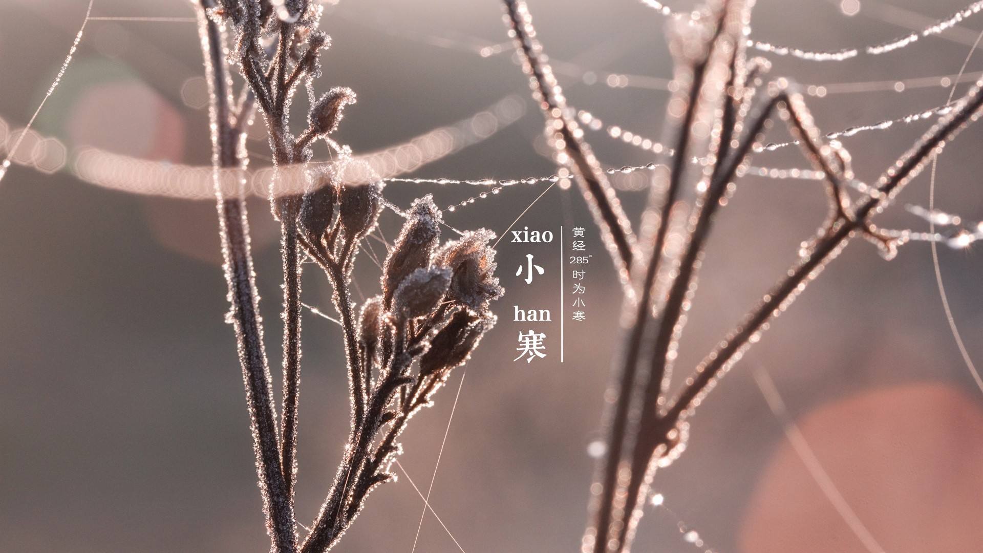 2020年小寒節氣是在幾月幾日幾點幾分?小寒具體時間介紹(圖文)