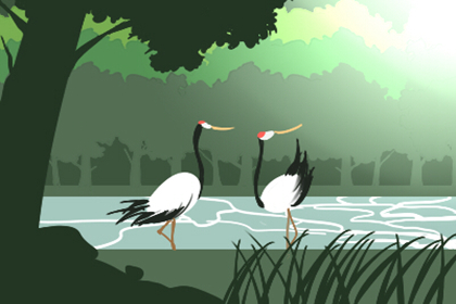 八字純陽的男人好不好(圖文)