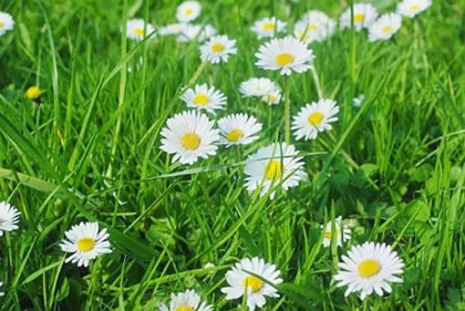 2020年正月二十九宜破土修墳嗎,2月22日今日財神吉位!(圖文)