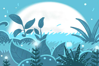 為什么忌諱衣服的扣子是雙數(shù)四六不成材(圖文)