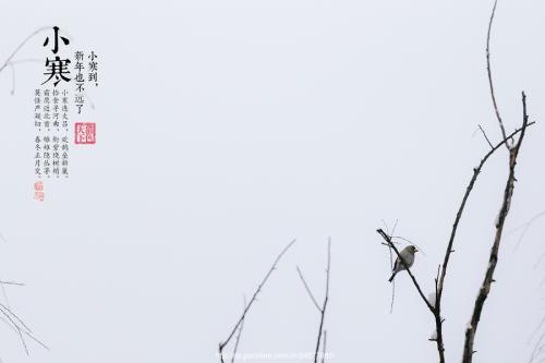 小寒節氣可以搬家嗎 什么日子搬家好?(圖文)