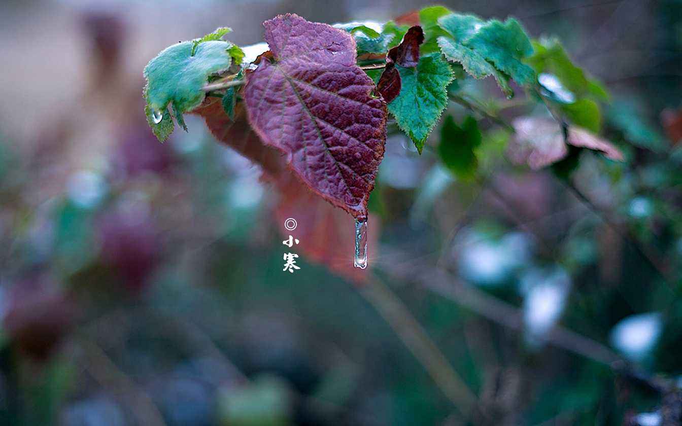 小寒節氣需要注意的事項有哪些？小寒吃什么養胃？(圖文)