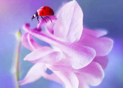 2020年正月二十三出生屬鼠男寶寶是八字喜火命嗎?(圖文)