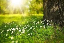 2020年正月二十九宜破土修墳嗎,2月22日今日財神吉位!