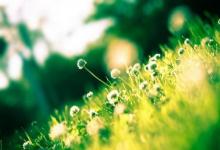 2020年陰歷二月二十五日子屬性是什么 對應吉日嗎？