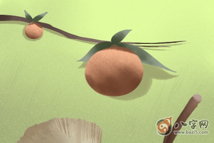 今日喜神方位查詢 2020年1月24日喜神在哪個方向(圖文)