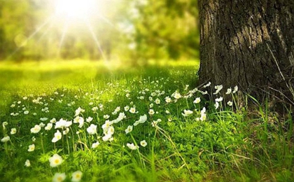 2020年二月廿二宜破土修墳嗎,3月15日卦象怎么樣?(圖文)