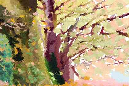 傷官格和劫財格可以婚配嗎 結果如何(圖文)