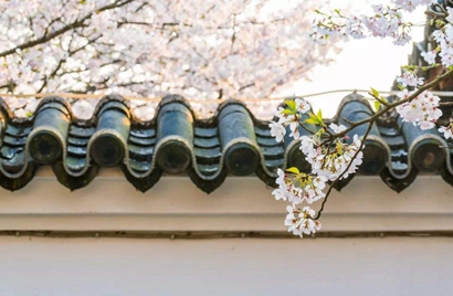 2月4日立春出生的屬蛇寶寶是什么命 性格好不好?(圖文)