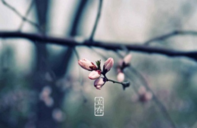 立春是什么日子?2020年立春是農(nóng)歷哪一天?(圖文)