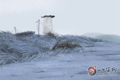 松柏木命什么時候出生最為適當(圖文)