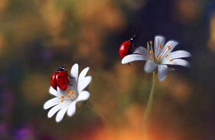 2020年二月二十四適合修墳嗎,3月17日時辰吉兇查詢!(圖文)