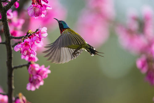 立春之日不上墳祭祖嗎 “立春祭”是什么時候?(圖文)