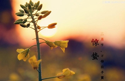 2020庚子鼠年驚蟄搬家好不好?驚蟄節(jié)氣三候解析(圖文)