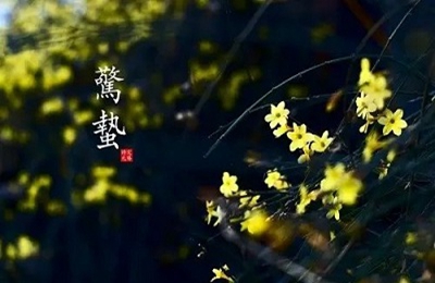 2020驚蟄這天可以登記結婚證嗎?驚蟄可以回娘家嗎?(圖文)