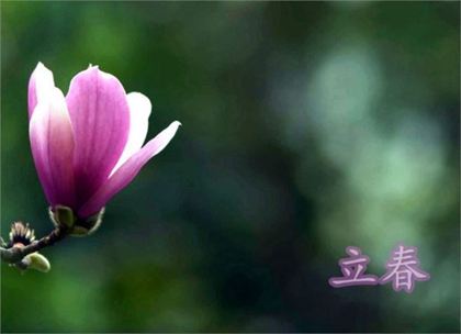 立春習俗咬春有什么寓意,2020年立春適合納采訂婚嗎?(圖文)