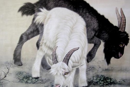 屬羊的人2019年過(guò)年前事業(yè)運(yùn)能轉(zhuǎn)好嗎?事業(yè)運(yùn)好不好?(圖文)