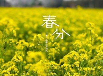 春分節氣出生的屬馬人命運如何 命格好不好？(圖文)