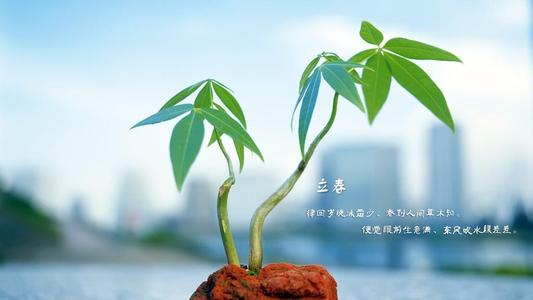 首座節(jié)氣·立春有哪些習(xí)俗風(fēng)俗 春神是指什么?(圖文)