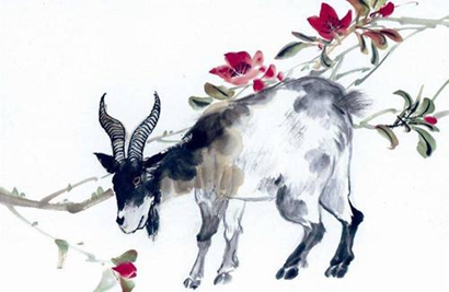 屬羊過年出生的人命運如何 屬羊正月初一出生是什么命？(圖文)