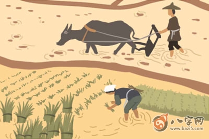 山下火命好不好 丙申丁酉山下火命詳解(圖文)