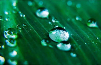 2020年雨水后一天祈福好嗎,2020~2030年雨水節(jié)氣時(shí)間表!(圖文)