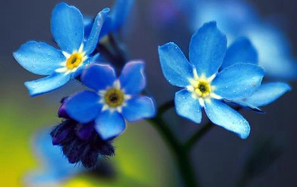 2020年農歷六月有哪幾天是適合辦喜事的黃道吉日?(圖文)