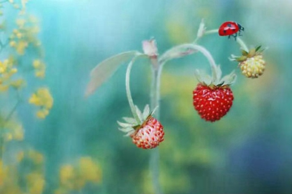 2020年農歷二月十八出生女孩八字命硬嗎，性格怎么樣？(圖文)