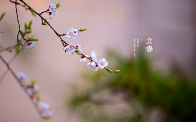 立春是什么日子?2020年立春是農(nóng)歷哪一天?(圖文)