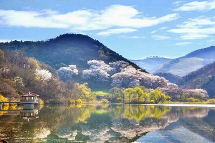 2020年二月廿二宜破土修墳嗎,3月15日卦象怎么樣?(圖文)