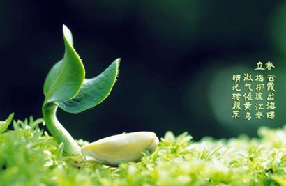 2月4日立春出生的屬蛇寶寶是什么命 性格好不好?(圖文)