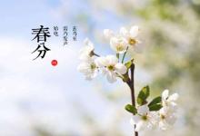 2020年春分節氣的具體時辰介紹!春分的習俗有哪些?
