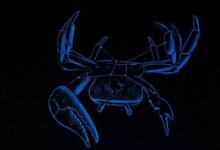 從哪里看巨蟹男很愛你,日常生活中發現