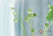 長流水命與火命的婚姻和嗎