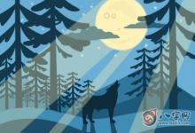 身弱走劫財格運的女命運勢如何