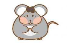 屬鼠哪年橫財最旺，屬鼠人的財運年