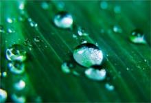 2020年2月19日雨水節氣宜出行嗎,關于雨水節氣諺語解析!