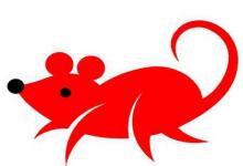 2020年庚子鼠年農歷正月適合結婚嫁娶的黃道吉日大全!