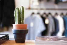 2020年6月開業黃道吉日查詢,2020年6月份公司開張吉日