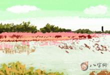 比劫重重食傷泄秀富貴 有何詳解