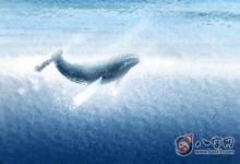 什么命與山下火命最配 山下火出生年份