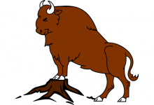 屬牛上等命的出生時辰,幾點出生命優秀