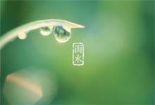 2020年雨水后一天宜出行嗎,雨水節(jié)氣有何風(fēng)俗?
