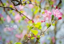 節(jié)氣立春之日要做什么 要“迎春踏春”嗎？