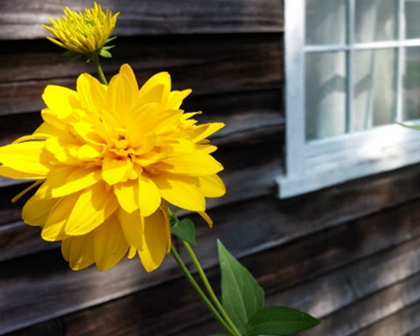 2020年農歷三月初十忌修墳嗎,4月2日時辰吉兇查詢!(圖文)