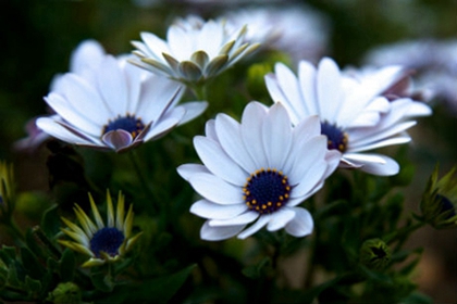 2020年農歷三月初十忌修墳嗎,4月2日時辰吉兇查詢!(圖文)