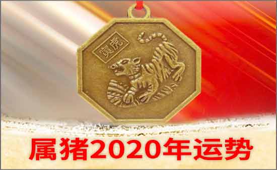 屬鼠2020年運勢及運程